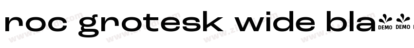 roc grotesk wide bla字体转换